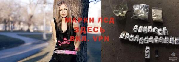 спиды Заводоуковск