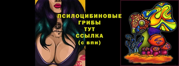 спиды Заводоуковск