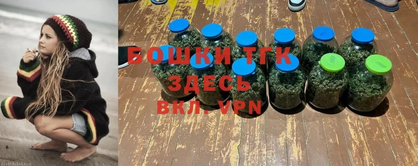 стафф Заволжье