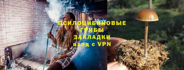 спиды Заводоуковск