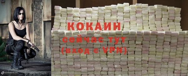 стафф Заволжье