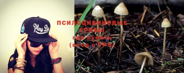 спиды Заводоуковск